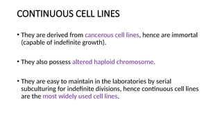 CELL LINES : How to maintain And Sub Culture | PPT