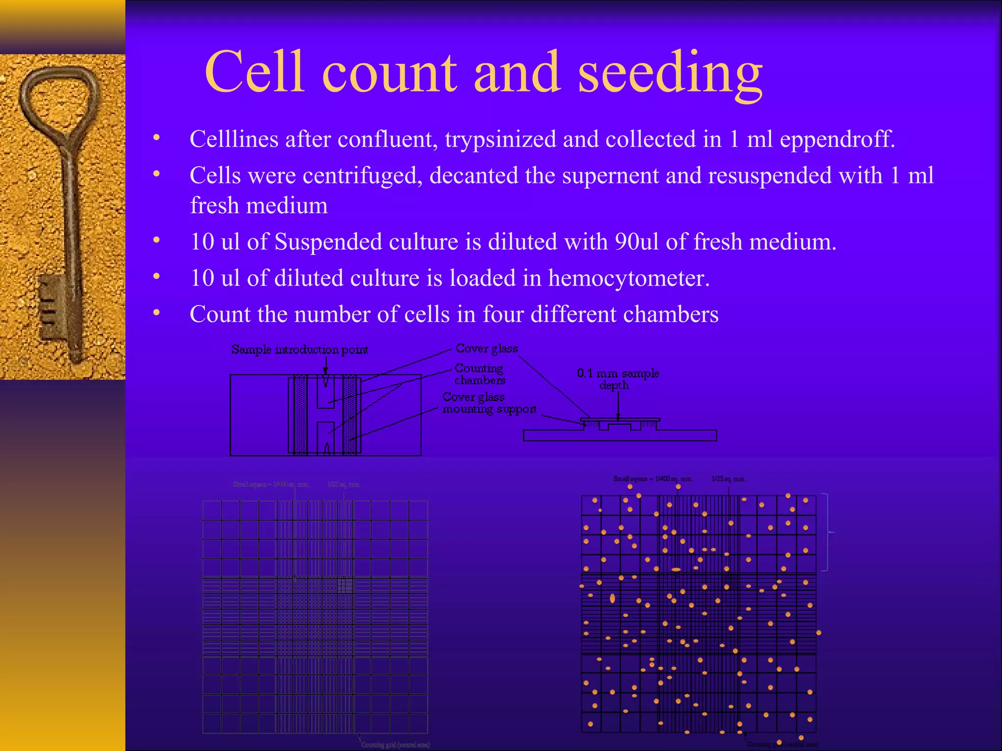 Cell count and seeding
•   Celllines after confluent, trypsinized and collected in 1 ml eppendroff.
•   Cells were centrifuged, decanted the supernent and resuspended with 1 ml
    fresh medium
•   10 ul of Suspended culture is diluted with 90ul of fresh medium.
•   10 ul of diluted culture is loaded in hemocytometer.
•   Count the number of cells in four different chambers
 