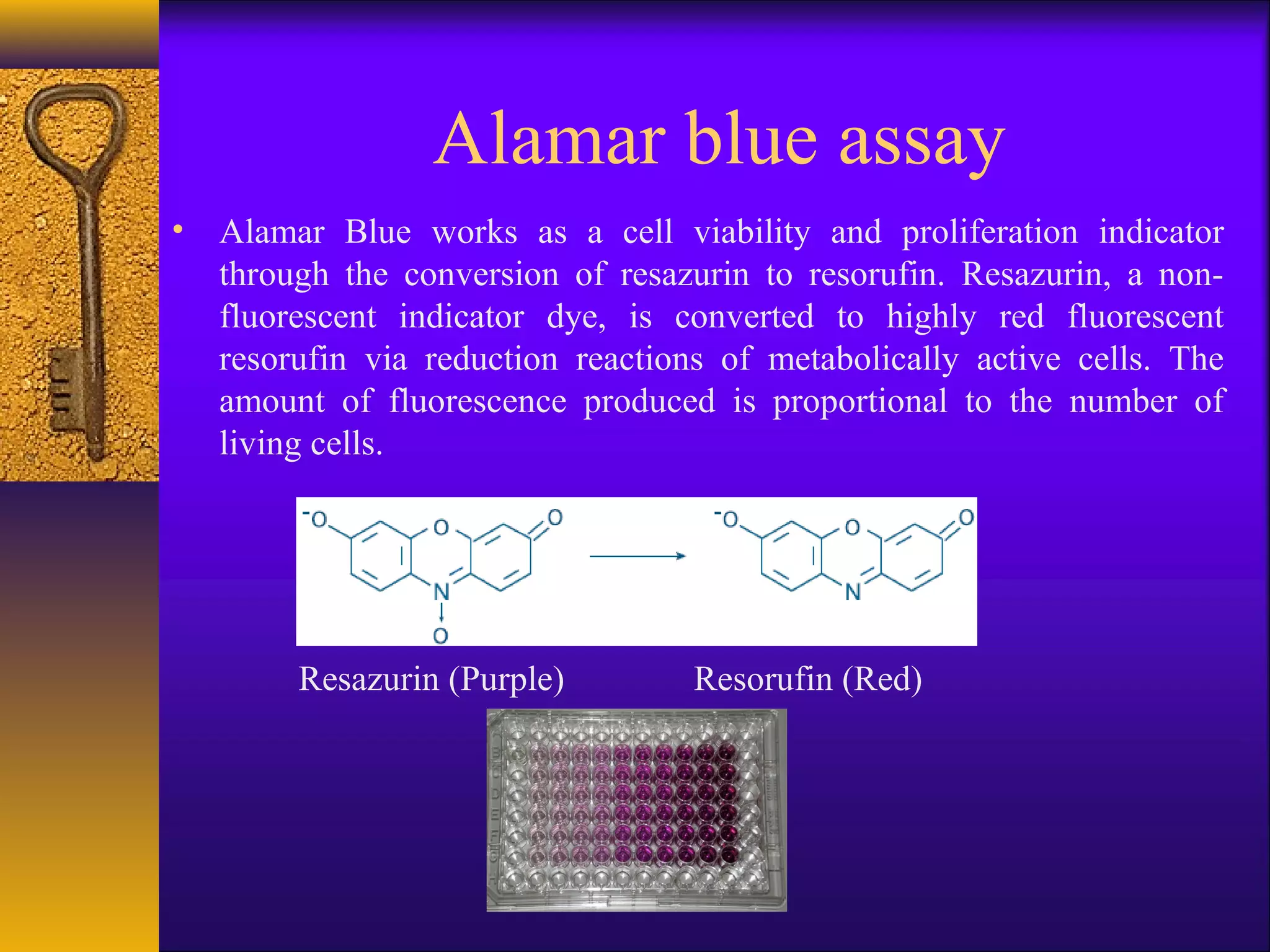 Alamar blue assay
• Alamar Blue works as a cell viability and proliferation indicator
  through the conversion of resazurin to resorufin. Resazurin, a non-
  fluorescent indicator dye, is converted to highly red fluorescent
  resorufin via reduction reactions of metabolically active cells. The
  amount of fluorescence produced is proportional to the number of
  living cells.




        Resazurin (Purple)        Resorufin (Red)
 