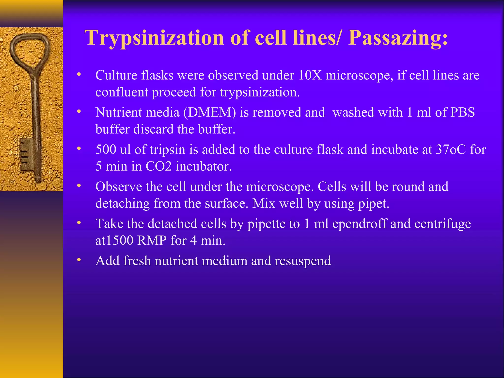 Trypsinization of cell lines/ Passazing:
• Culture flasks were observed under 10X microscope, if cell lines are
  confluent proceed for trypsinization.
• Nutrient media (DMEM) is removed and washed with 1 ml of PBS
  buffer discard the buffer.
• 500 ul of tripsin is added to the culture flask and incubate at 37oC for
  5 min in CO2 incubator.
• Observe the cell under the microscope. Cells will be round and
  detaching from the surface. Mix well by using pipet.
• Take the detached cells by pipette to 1 ml ependroff and centrifuge
  at1500 RMP for 4 min.
• Add fresh nutrient medium and resuspend
 