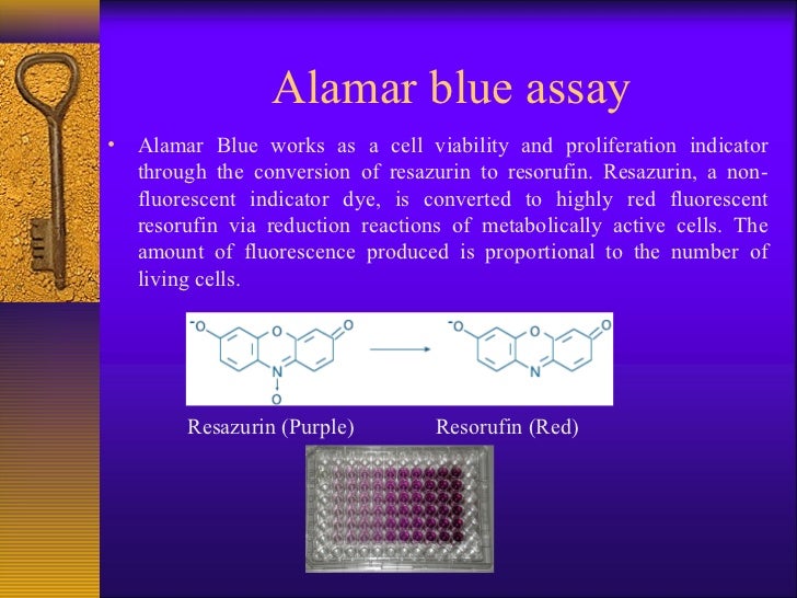 Cell lines Basics