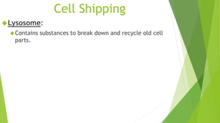 Cell Shipping 
Lysosome: 
Contains substances to break down and recycle old cell 
parts. 
 