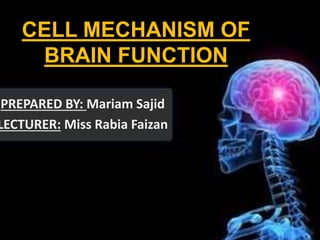 CELL MECHANISM OF
BRAIN FUNCTION
PREPARED BY: Mariam Sajid
LECTURER: Miss Rabia Faizan
 
