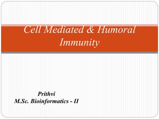 Prithvi
M.Sc. Bioinformatics - II
Cell Mediated & Humoral
Immunity
 