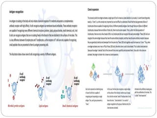 Cell mediated & humoral immunity