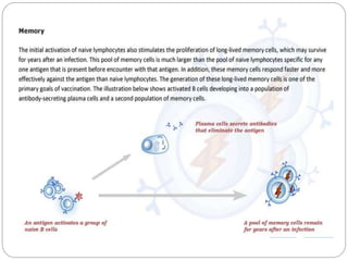 Cell mediated & humoral immunity