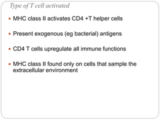 Type of T cell activated
 MHC class II activates CD4 +T helper cells
 Present exogenous (eg bacterial) antigens
 CD4 T cells upregulate all immune functions
 MHC class II found only on cells that sample the
extracellular environment
 