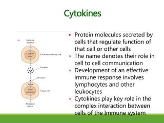 Cell mediated immune response | PPTX