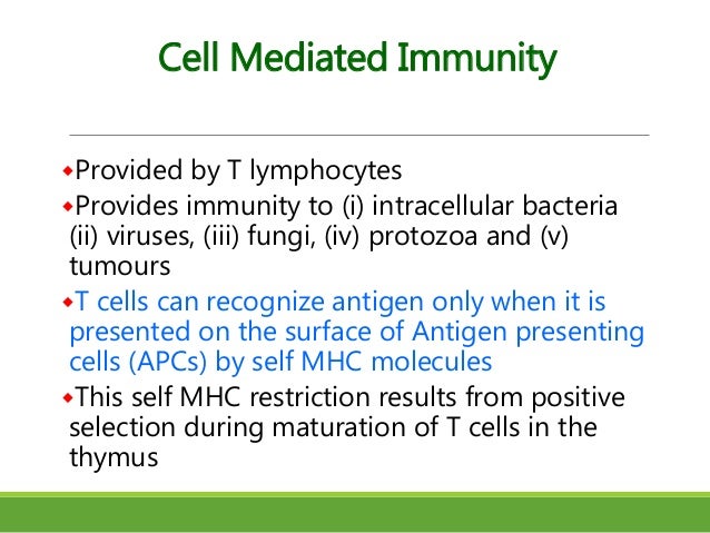 cell mediated response