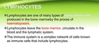 Lymphocytes are one of many types of
produced in the bone marrowby the proces of
haematopoesis.
Lymphocytes leave the bone marrow ,circulate in the
blood and the lymphatic system.
The immune system is a complex network of cells known
as immune cells that include lymphocytes.
 