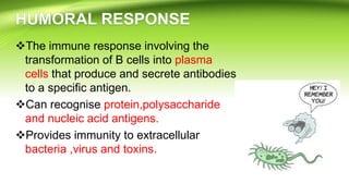 The immune response involving the
transformation of B cells into plasma
cells that produce and secrete antibodies
to a specific antigen.
Can recognise protein,polysaccharide
and nucleic acid antigens.
Provides immunity to extracellular
bacteria ,virus and toxins.
 