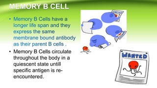 • Memory B Cells circulate
throughout the body in a
quiescent state untill
specific antigen is re-
encountered.
 