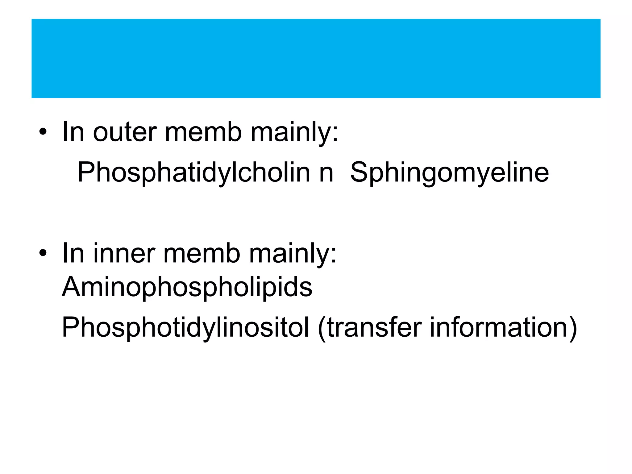 • In outer memb mainly:
Phosphatidylcholin n Sphingomyeline
• In inner memb mainly:
Aminophospholipids
Phosphotidylinositol (transfer information)
 