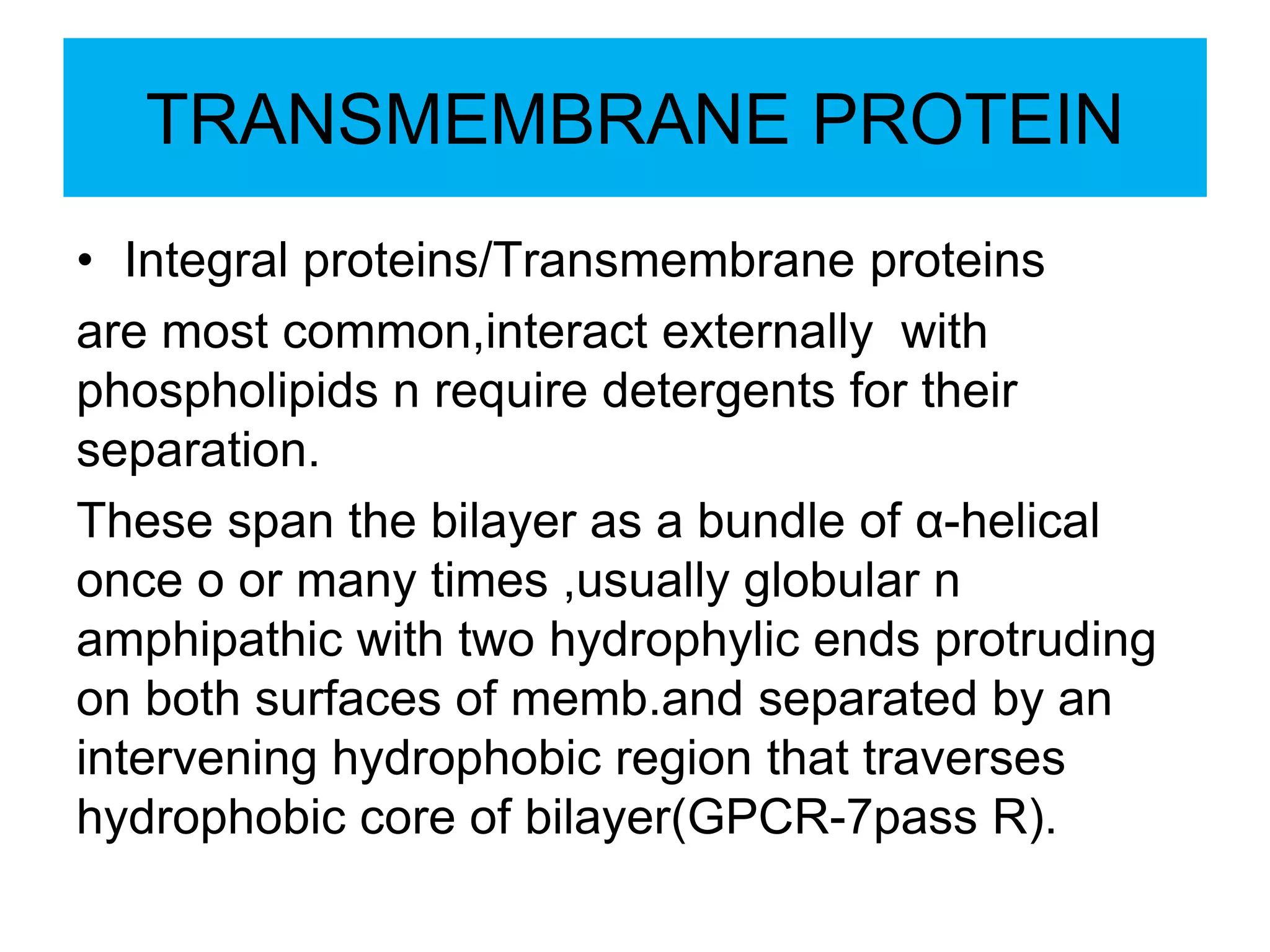 TRANSMEMBRANE PROTEIN
• Integral proteins/Transmembrane proteins
are most common,interact externally with
phospholipids n require detergents for their
separation.
These span the bilayer as a bundle of α-helical
once o or many times ,usually globular n
amphipathic with two hydrophylic ends protruding
on both surfaces of memb.and separated by an
intervening hydrophobic region that traverses
hydrophobic core of bilayer(GPCR-7pass R).
 