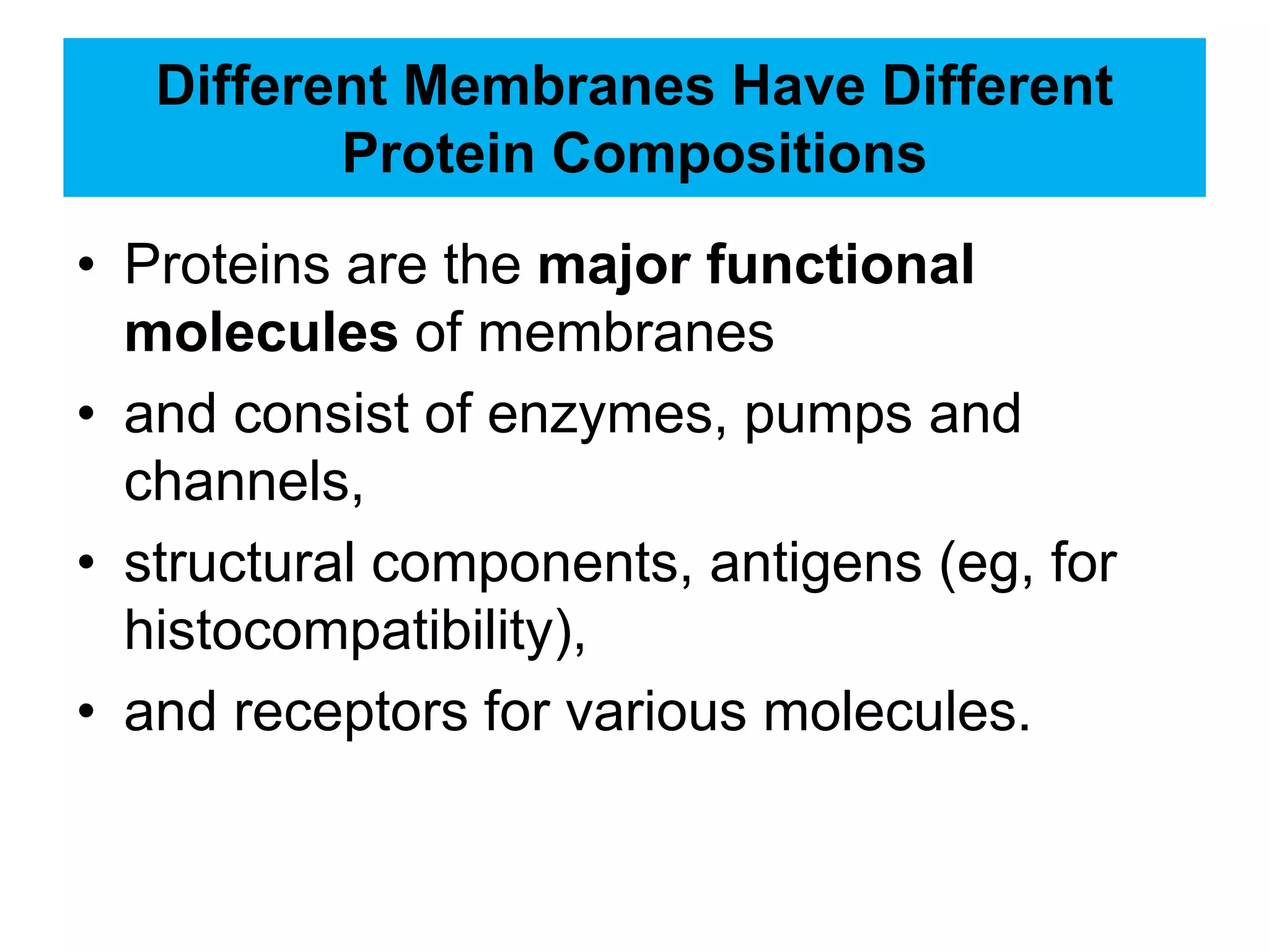 Different Membranes Have Different
Protein Compositions
• Proteins are the major functional
molecules of membranes
• and consist of enzymes, pumps and
channels,
• structural components, antigens (eg, for
histocompatibility),
• and receptors for various molecules.
 