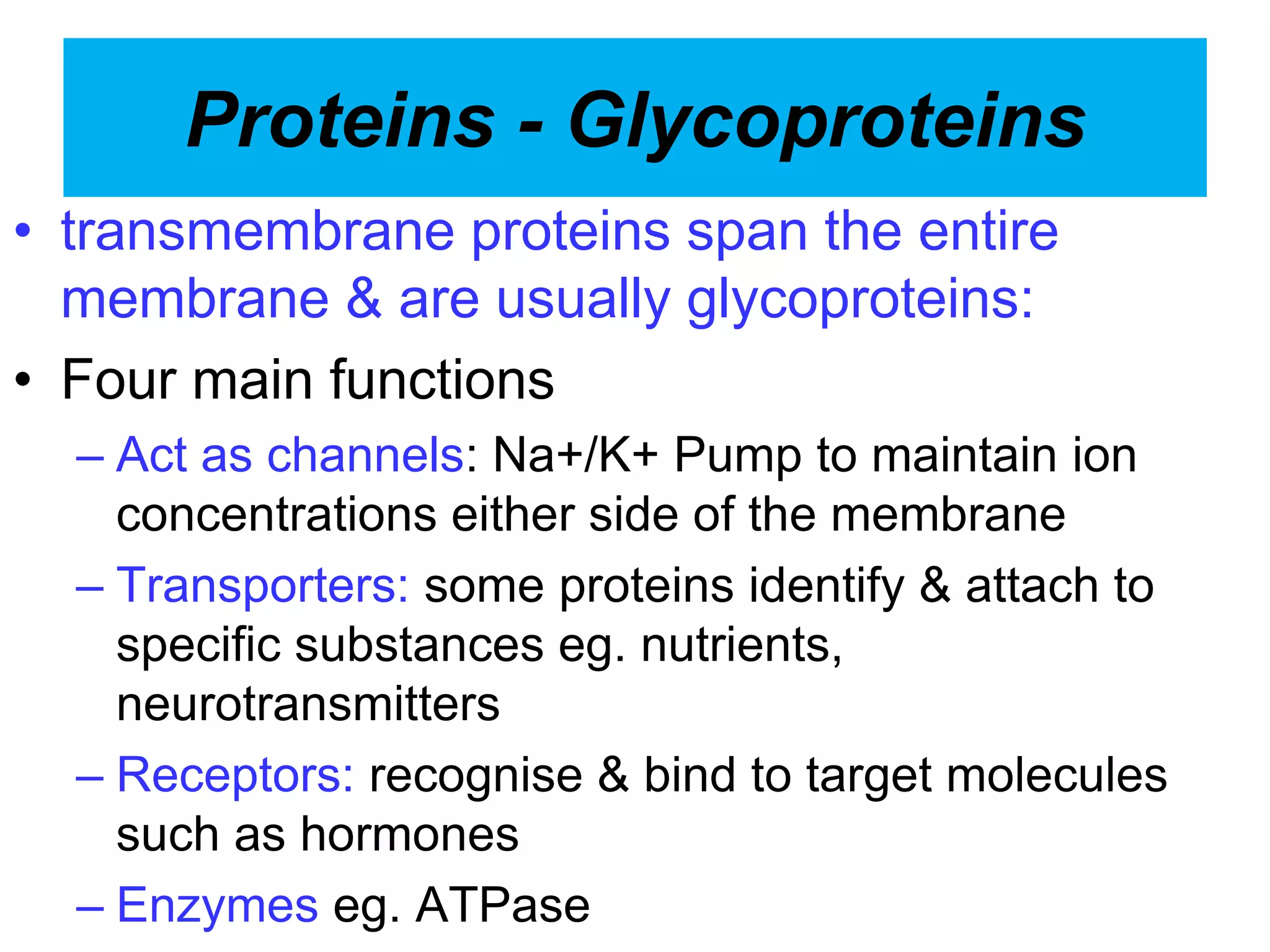 Proteins - Glycoproteins
• transmembrane proteins span the entire
membrane & are usually glycoproteins:
• Four main functions
– Act as channels: Na+/K+ Pump to maintain ion
concentrations either side of the membrane
– Transporters: some proteins identify & attach to
specific substances eg. nutrients,
neurotransmitters
– Receptors: recognise & bind to target molecules
such as hormones
– Enzymes eg. ATPase
 