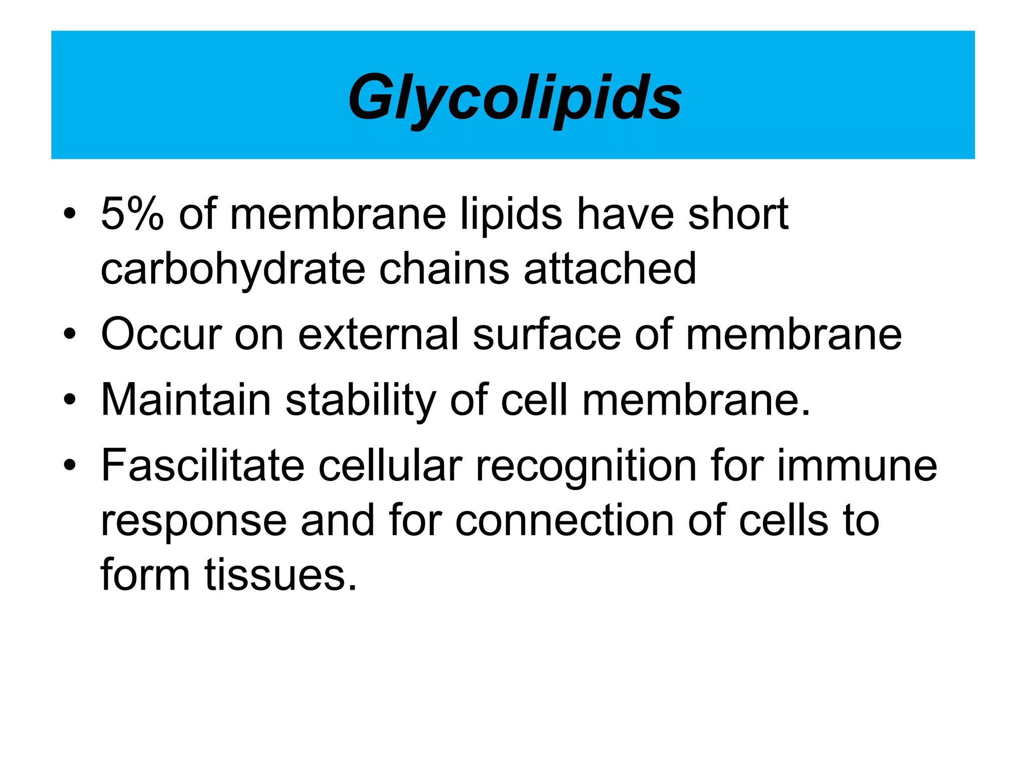Glycolipids
• 5% of membrane lipids have short
carbohydrate chains attached
• Occur on external surface of membrane
• Maintain stability of cell membrane.
• Fascilitate cellular recognition for immune
response and for connection of cells to
form tissues.
 