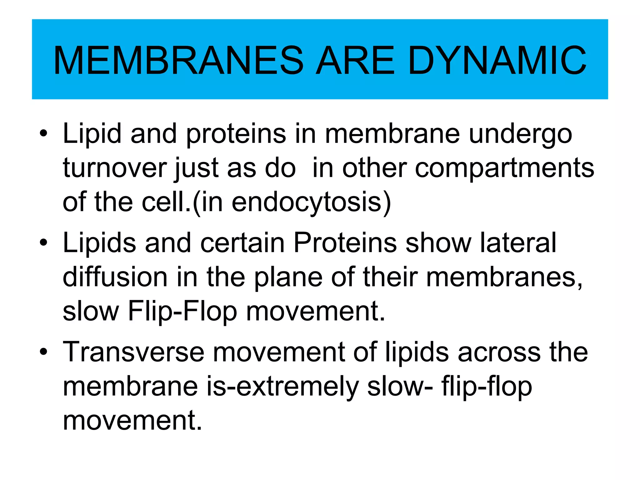 MEMBRANES ARE DYNAMIC
• Lipid and proteins in membrane undergo
turnover just as do in other compartments
of the cell.(in endocytosis)
• Lipids and certain Proteins show lateral
diffusion in the plane of their membranes,
slow Flip-Flop movement.
• Transverse movement of lipids across the
membrane is-extremely slow- flip-flop
movement.
 