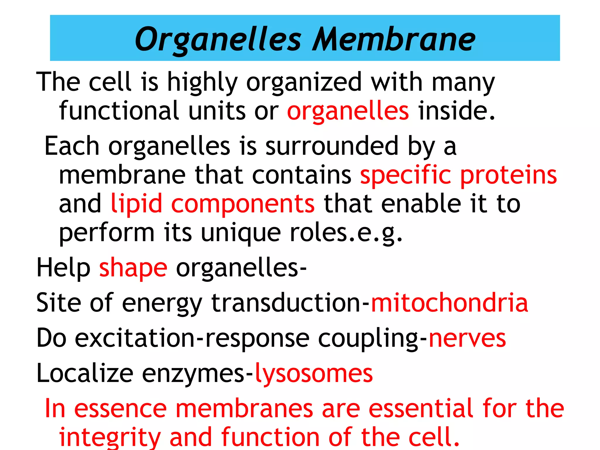 Organelles Membrane
The cell is highly organized with many
functional units or organelles inside.
Each organelles is surrounded by a
membrane that contains specific proteins
and lipid components that enable it to
perform its unique roles.e.g.
Help shape organelles-
Site of energy transduction-mitochondria
Do excitation-response coupling-nerves
Localize enzymes-lysosomes
In essence membranes are essential for the
integrity and function of the cell.
 