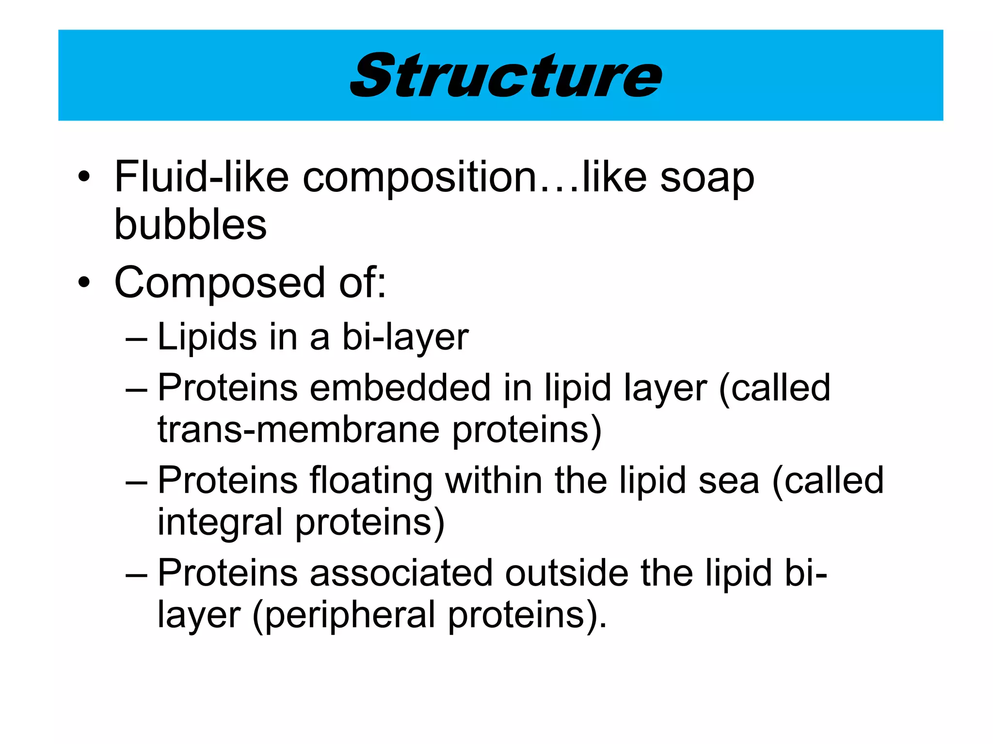 Structure
• Fluid-like composition…like soap
bubbles
• Composed of:
– Lipids in a bi-layer
– Proteins embedded in lipid layer (called
trans-membrane proteins)
– Proteins floating within the lipid sea (called
integral proteins)
– Proteins associated outside the lipid bi-
layer (peripheral proteins).
 