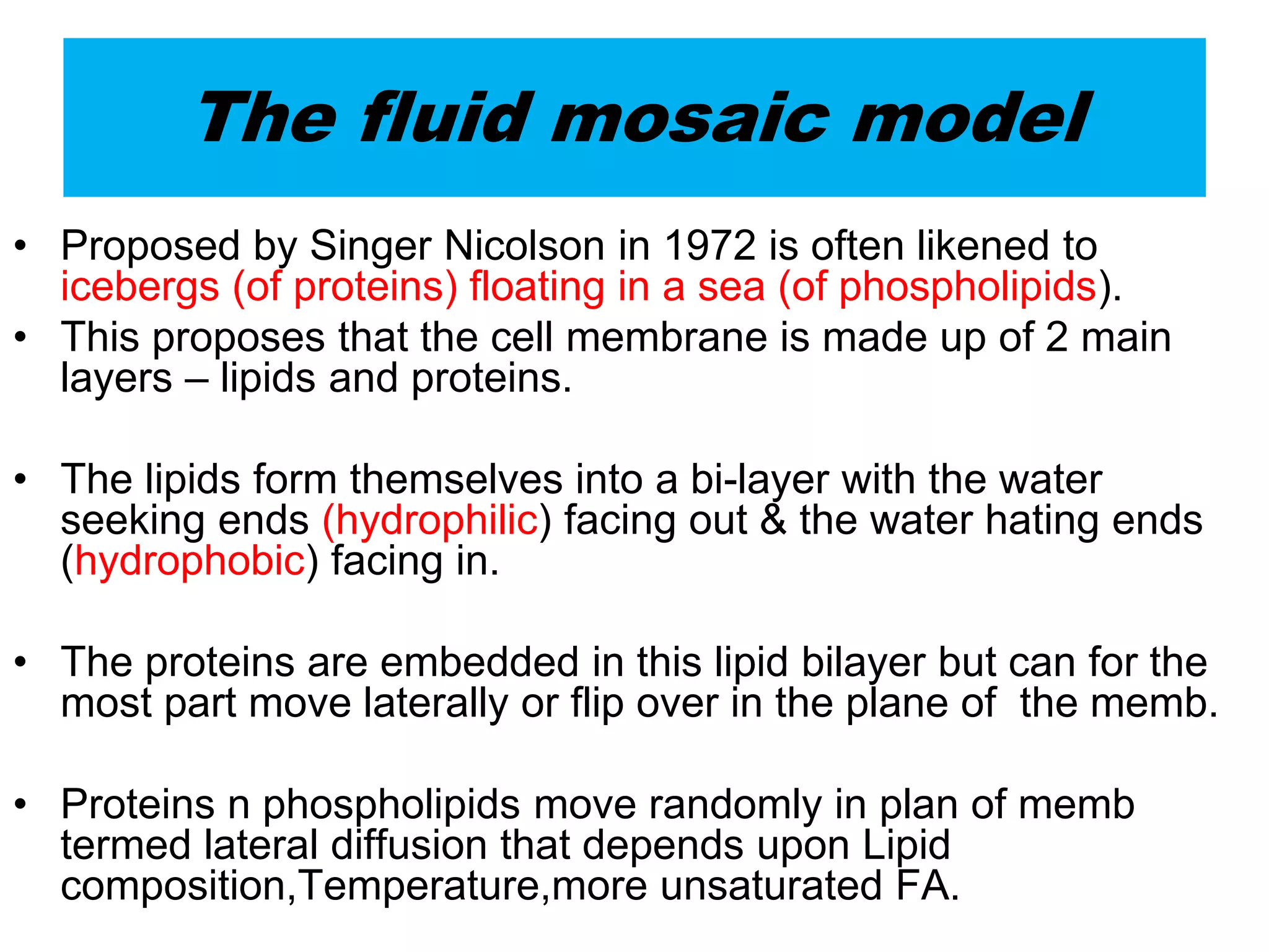 The fluid mosaic model
• Proposed by Singer Nicolson in 1972 is often likened to
icebergs (of proteins) floating in a sea (of phospholipids).
• This proposes that the cell membrane is made up of 2 main
layers – lipids and proteins.
• The lipids form themselves into a bi-layer with the water
seeking ends (hydrophilic) facing out & the water hating ends
(hydrophobic) facing in.
• The proteins are embedded in this lipid bilayer but can for the
most part move laterally or flip over in the plane of the memb.
• Proteins n phospholipids move randomly in plan of memb
termed lateral diffusion that depends upon Lipid
composition,Temperature,more unsaturated FA.
 