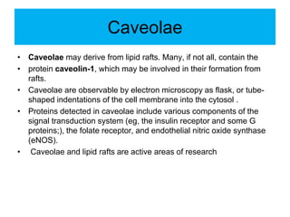 Cell membrane. structure AIMC | PPT