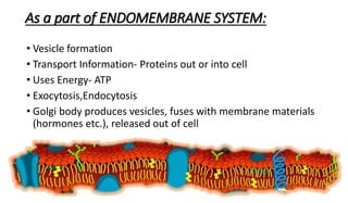 Cell membbrane