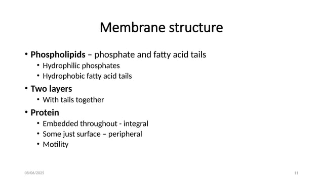 Cell Membrane: Structure, Composition & Functions | PPTX