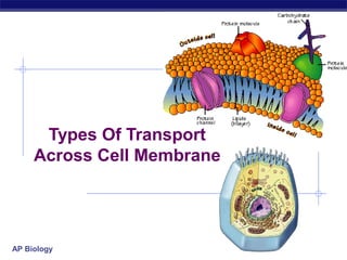 Types Of Transport
     Across Cell Membrane




AP Biology
 