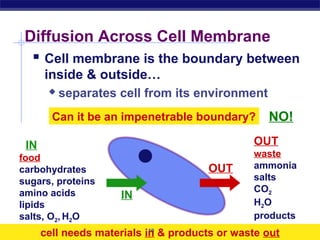 Diffusion Across Cell Membrane
     Cell membrane is the boundary between
        inside & outside…
             separates cell from its environment
             Can it be an impenetrable boundary?    NO!

   IN                                            OUT
  food                                           waste
  carbohydrates                          OUT     ammonia
  sugars, proteins                               salts
  amino acids                                    CO2
                        IN
  lipids                                         H2O
  salts, O2, H2O                                 products
AP Biology
        cell needs materials in & products or waste out
                              19
 