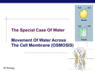 The Special Case Of Water

       Movement Of Water Across
       The Cell Membrane (OSMOSIS)




AP Biology
 