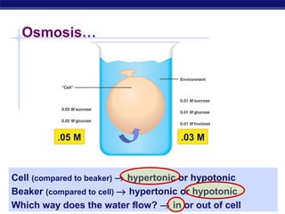 Osmosis…




           .05 M                       .03 M



Cell (compared to beaker) → hypertonic or hypotonic
Beaker (compared to cell) → hypertonic or hypotonic
                             flow? → in or out of cell
AP Biologyway does the water 38
Which
 
