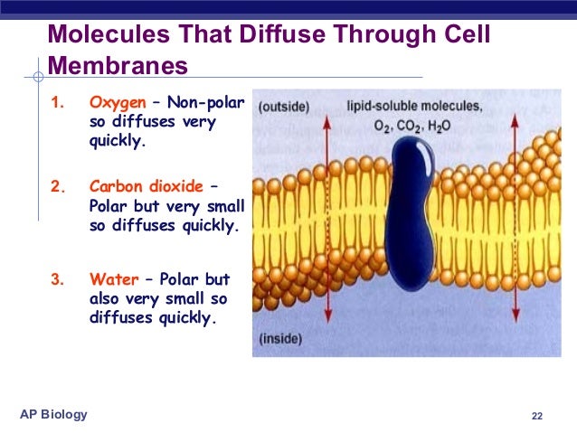 Cell memberane structure,function & machanism