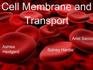 Cell Membrane and Transport Ariel Sacco Ashlee Heidgerd Sidney Hardie 