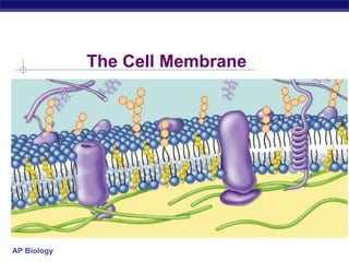 The Cell Membrane




AP Biology
 