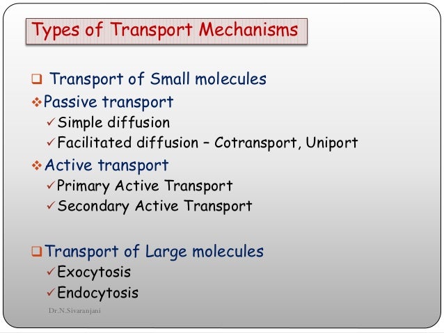 types of cell transport