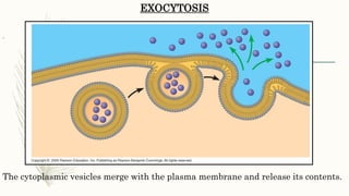Cell membrane | PPTX