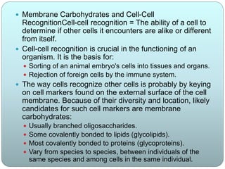  Membrane Carbohydrates and Cell-Cell
RecognitionCell-cell recognition = The ability of a cell to
determine if other cells it encounters are alike or different
from itself.
 Cell-cell recognition is crucial in the functioning of an
organism. It is the basis for:
 Sorting of an animal embryo's cells into tissues and organs.
 Rejection of foreign cells by the immune system.
 The way cells recognize other cells is probably by keying
on cell markers found on the external surface of the cell
membrane. Because of their diversity and location, likely
candidates for such cell markers are membrane
carbohydrates:
 Usually branched oligosaccharides.
 Some covalently bonded to lipids (glycolipids).
 Most covalently bonded to proteins (glycoproteins).
 Vary from species to species, between individuals of the
same species and among cells in the same individual.
 