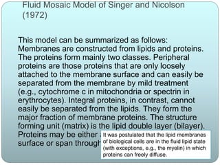 Fluid Mosaic Model of Singer and Nicolson
(1972)
This model can be summarized as follows:
Membranes are constructed from lipids and proteins.
The proteins form mainly two classes. Peripheral
proteins are those proteins that are only loosely
attached to the membrane surface and can easily be
separated from the membrane by mild treatment
(e.g., cytochrome c in mitochondria or spectrin in
erythrocytes). Integral proteins, in contrast, cannot
easily be separated from the lipids. They form the
major fraction of membrane proteins. The structure
forming unit (matrix) is the lipid double layer (bilayer).
Proteins may be either adsorbed to the membrane
surface or span through the membrane
It was postulated that the lipid membranes
of biological cells are in the fluid lipid state
(with exceptions, e.g., the myelin) in which
proteins can freely diffuse.
 