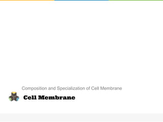 Composition and Specialization of Cell Membrane
Cell Membrane
 