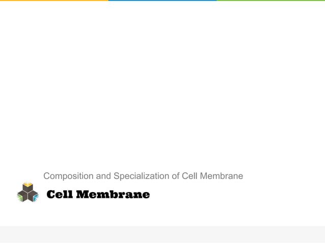 Cell membrane | PPT