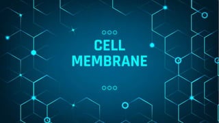 CELL
MEMBRANE
 