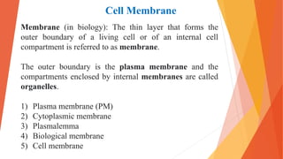 Membrane (in biology): The thin layer that forms the
outer boundary of a living cell or of an internal cell
compartment is referred to as membrane.
The outer boundary is the plasma membrane and the
compartments enclosed by internal membranes are called
organelles.
1) Plasma membrane (PM)
2) Cytoplasmic membrane
3) Plasmalemma
4) Biological membrane
5) Cell membrane
Cell Membrane
 