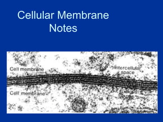 Cellular Membrane
Notes
 
