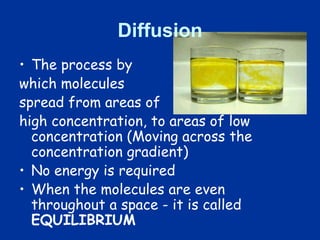 Diffusion across a membrane
• Permeable – membrane
through which molecules
can pass
• Move from high
concentrations to low...