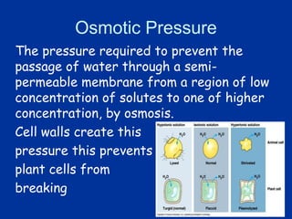 Osmotic pressure (again)
 