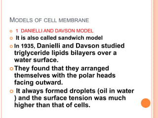 MODELS OF CELL MEMBRANE
 1 DANIELLI AND DAVSON MODEL
 It is also called sandwich model
 In 1935, Danielli and Davson studied
triglyceride lipids bilayers over a
water surface.
They found that they arranged
themselves with the polar heads
facing outward.
 It always formed droplets (oil in water
) and the surface tension was much
higher than that of cells.
 