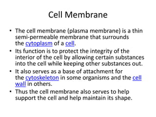 Cell Membrane.pptx