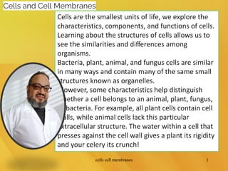 Cells are the smallest units of life, we explore the
characteristics, components, and functions of cells.
Learning about the structures of cells allows us to
see the similarities and differences among
organisms.
Bacteria, plant, animal, and fungus cells are similar
in many ways and contain many of the same small
structures known as organelles.
However, some characteristics help distinguish
whether a cell belongs to an animal, plant, fungus,
or bacteria. For example, all plant cells contain cell
walls, while animal cells lack this particular
extracellular structure. The water within a cell that
presses against the cell wall gives a plant its rigidity
and your celery its crunch!
Cells and Cell Membranes
cells cell membranes 1
 
