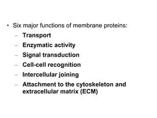 • Six major functions of membrane proteins:
– Transport
– Enzymatic activity
– Signal transduction
– Cell-cell recognition
– Intercellular joining
– Attachment to the cytoskeleton and
extracellular matrix (ECM)
 